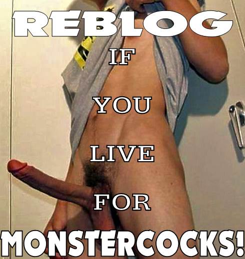 Image #319